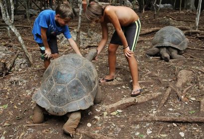 Kids with Tortoise in Prison Island Zanzibar Car Hire